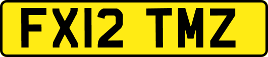 FX12TMZ