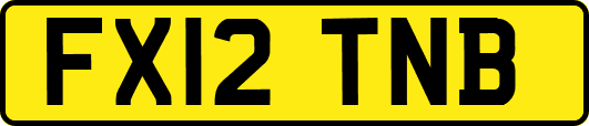 FX12TNB