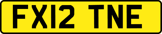 FX12TNE