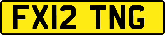 FX12TNG
