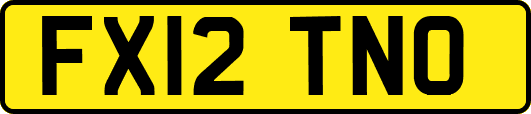 FX12TNO