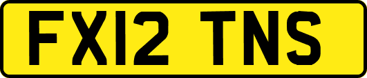 FX12TNS