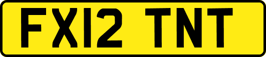 FX12TNT