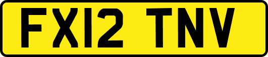 FX12TNV