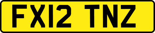 FX12TNZ