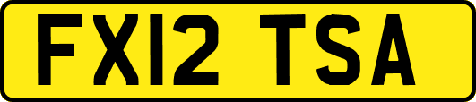FX12TSA