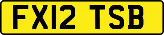 FX12TSB