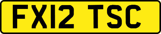 FX12TSC