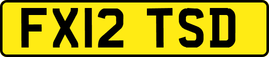 FX12TSD
