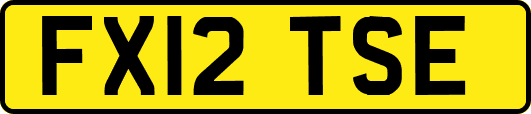 FX12TSE