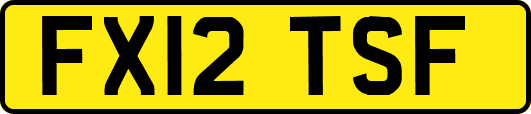 FX12TSF