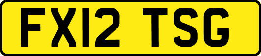 FX12TSG