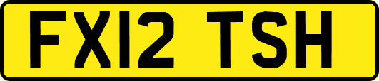 FX12TSH
