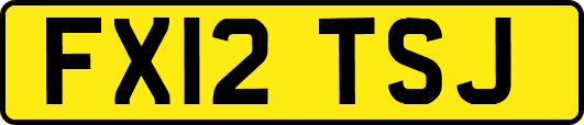 FX12TSJ