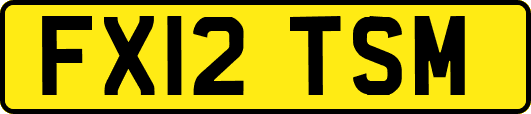 FX12TSM
