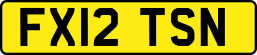 FX12TSN