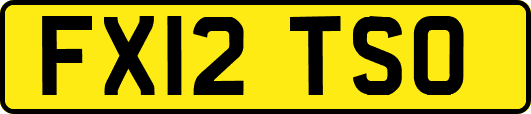 FX12TSO