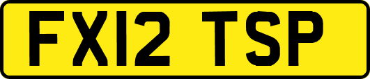 FX12TSP