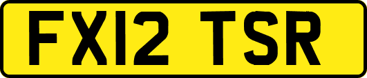 FX12TSR