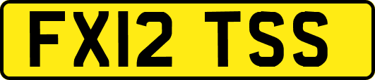 FX12TSS