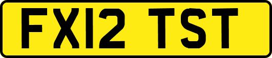 FX12TST