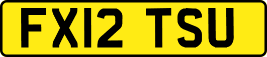 FX12TSU