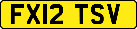 FX12TSV