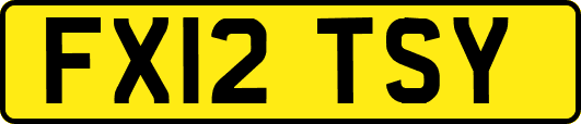 FX12TSY