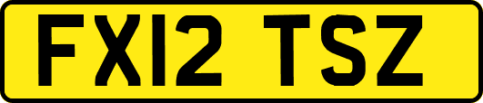 FX12TSZ