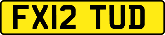 FX12TUD