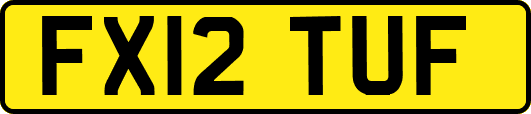 FX12TUF