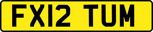 FX12TUM