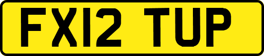 FX12TUP
