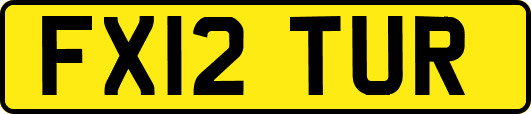 FX12TUR