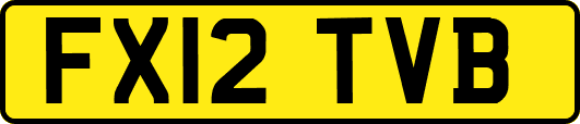 FX12TVB