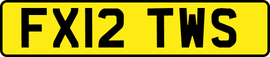 FX12TWS