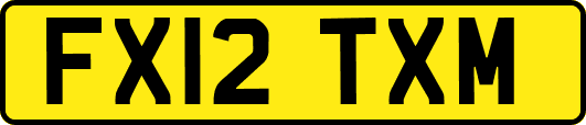 FX12TXM