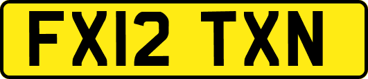 FX12TXN