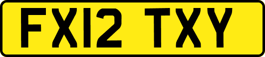FX12TXY