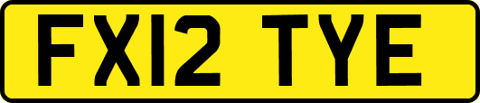 FX12TYE