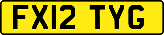 FX12TYG