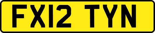 FX12TYN