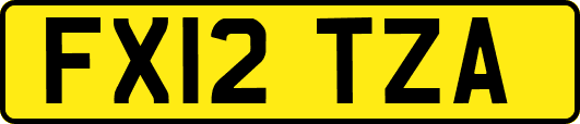 FX12TZA