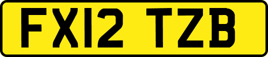 FX12TZB