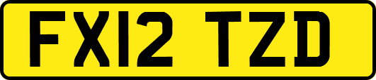 FX12TZD