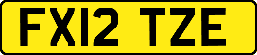 FX12TZE