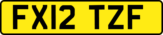 FX12TZF