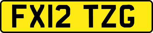 FX12TZG