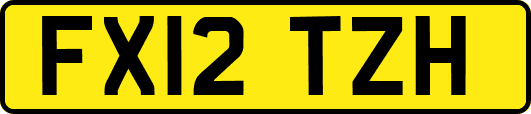 FX12TZH