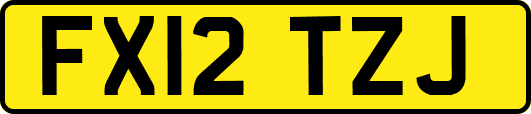 FX12TZJ